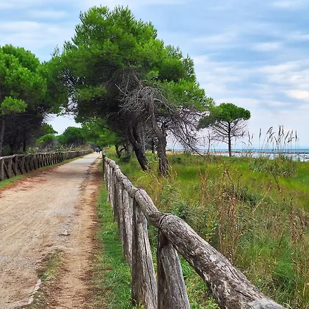 Apartment Three-room With Swimming Pool In The Nearby Of The Renowned Bibione